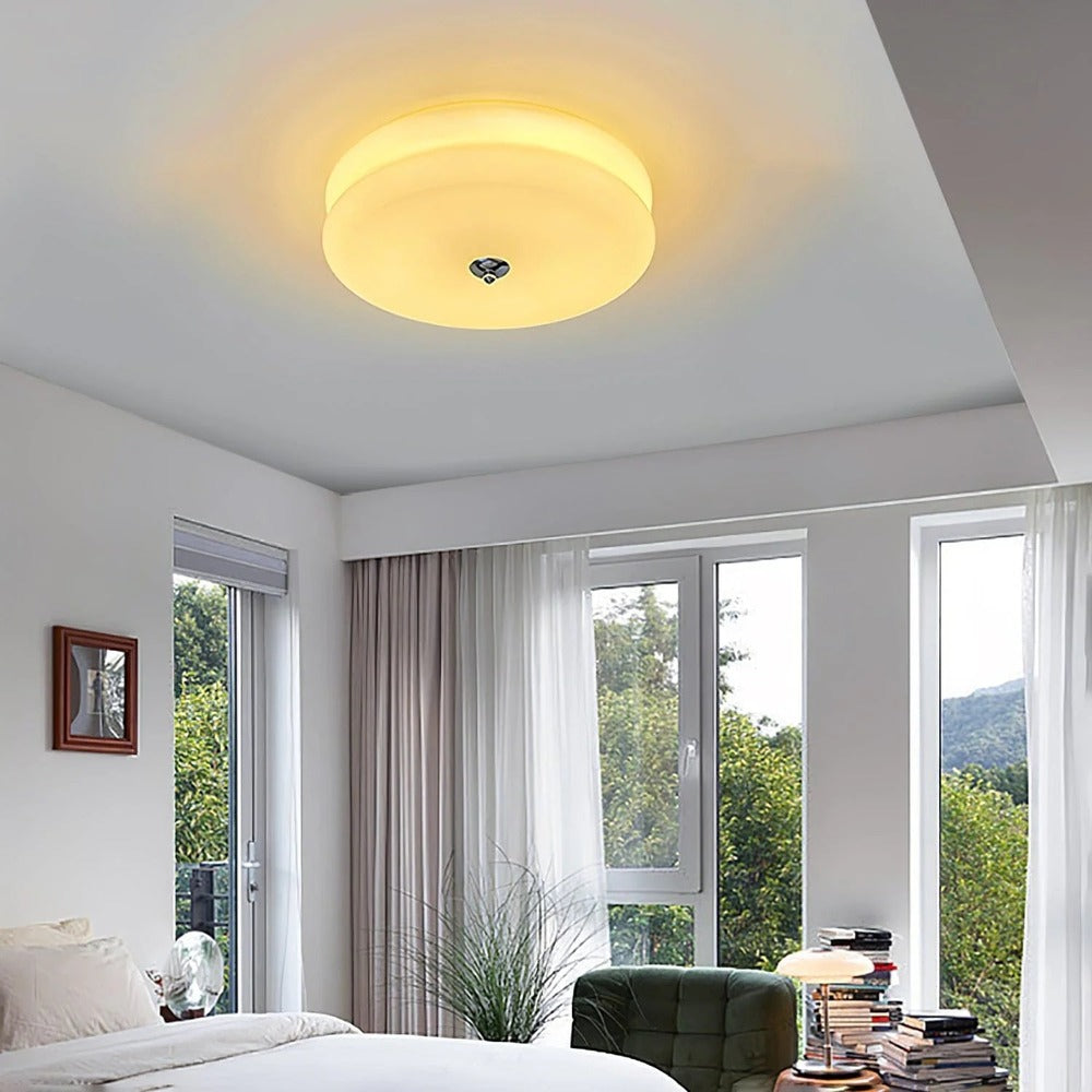 Flush Mount LED Light with Minimalist Disc-Design