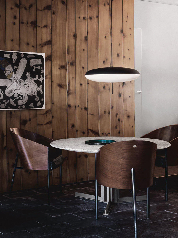 Minimalist Elliptical Pendant Light with Vertical Rod