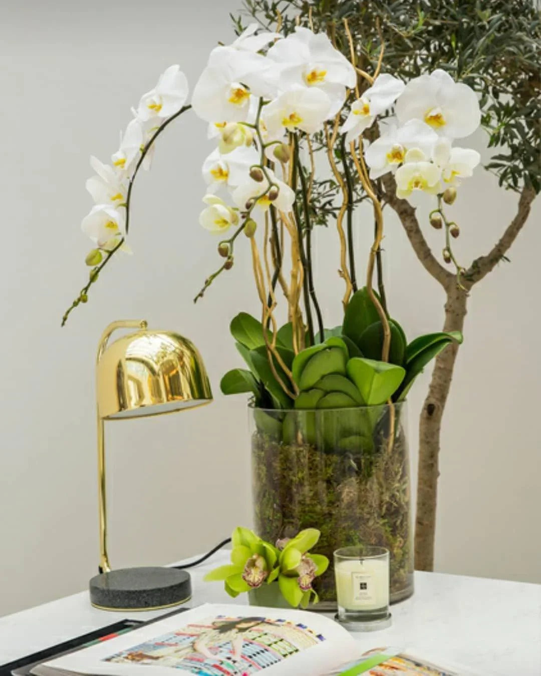 Modern Minimalist Table Lamp with Curved Dome