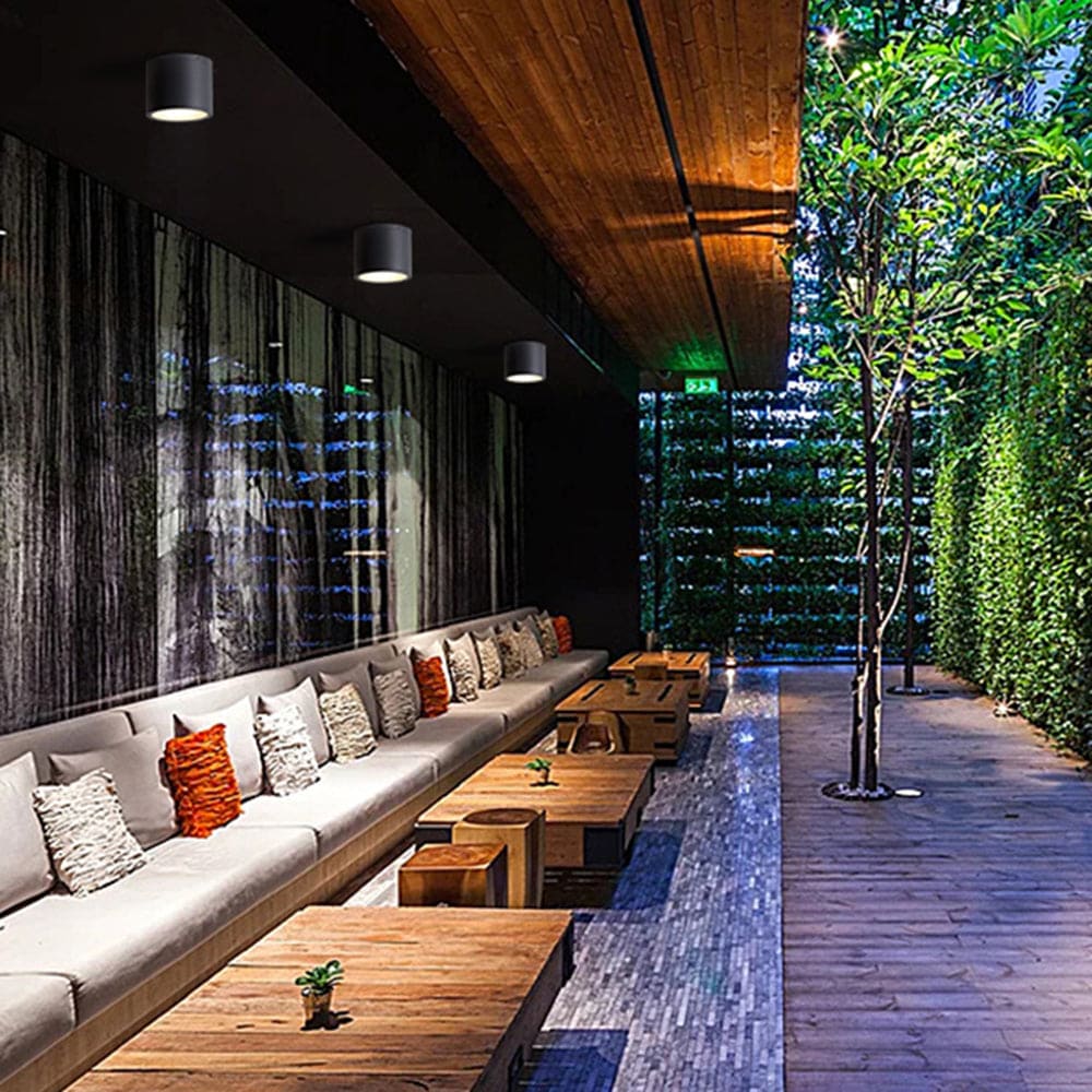 Outdoor Modern Ceiling Light, Black Glass