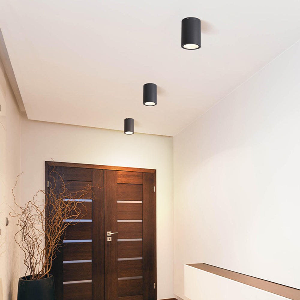 Outdoor Modern Ceiling Light, Black Glass