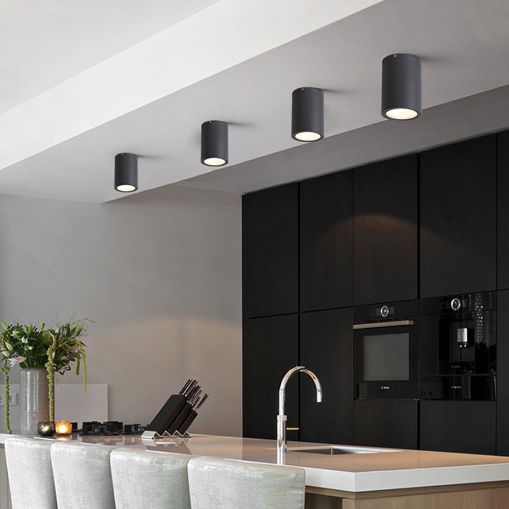 Outdoor Modern Ceiling Light, Black Glass