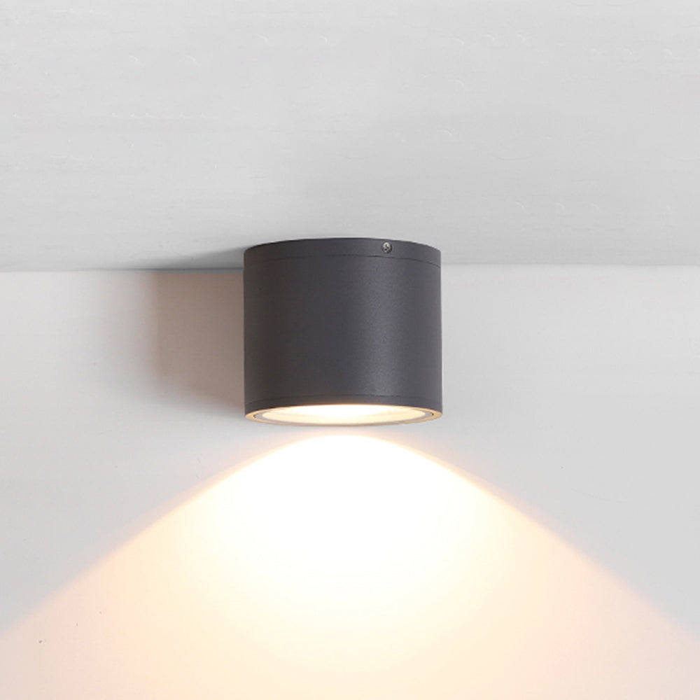 Outdoor Modern Ceiling Light, Black Glass