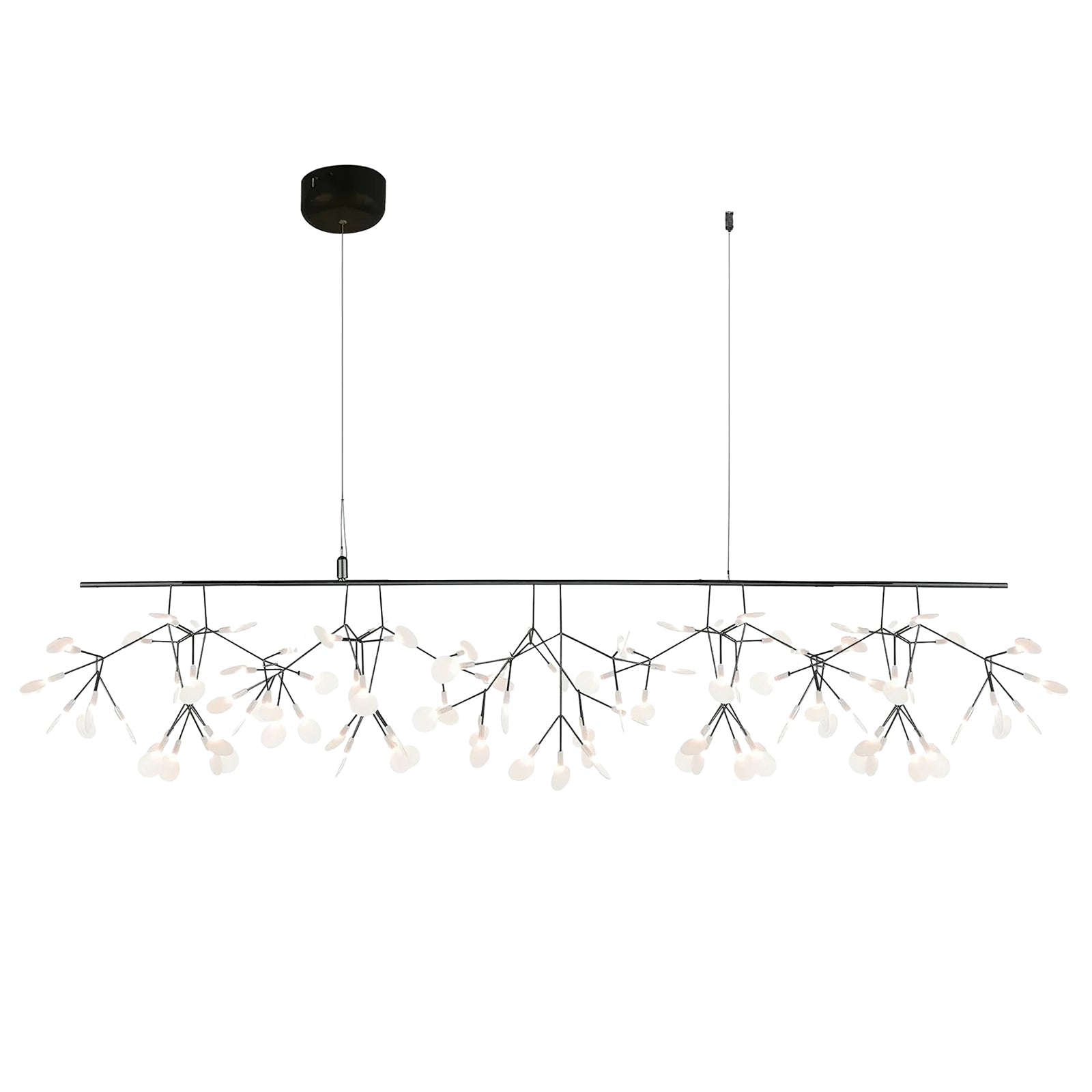 Black Firefly Chandelier - Modern Design