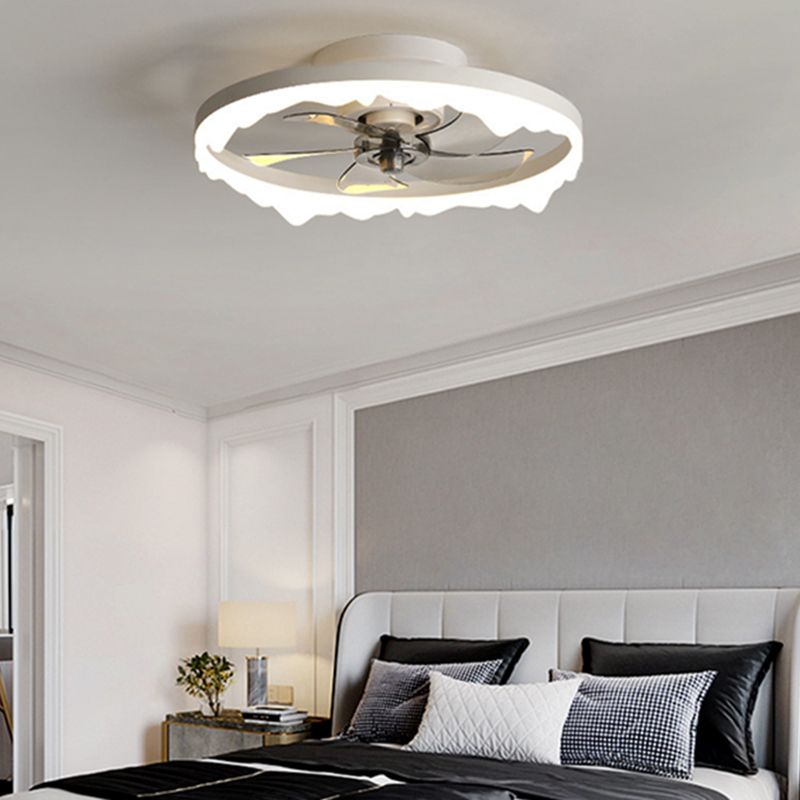 Contemporary Ceiling Fan with Light