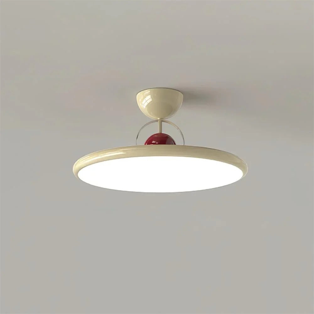 Contemporary Ceiling Lamp - Unique Look