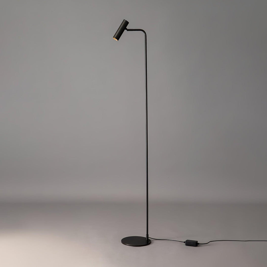 Elegant Minimalist Satin Brass Lamp