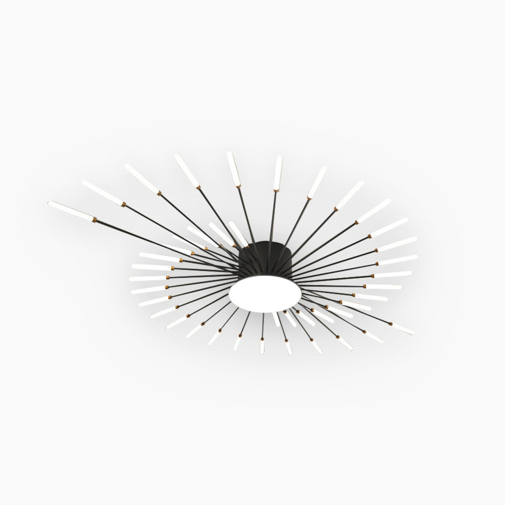 Lowry Modern Home Decoration Fireworks LED Ceiling Light