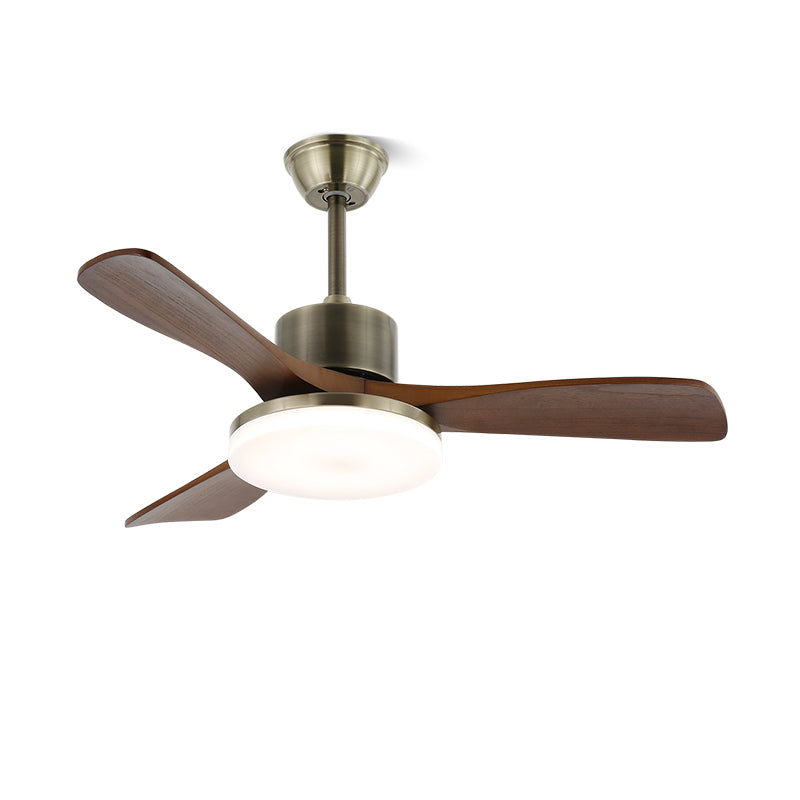 Modern Wooden Ceiling Fan Light with Remote