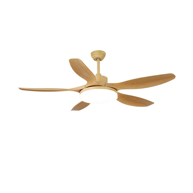 Modern Ceiling Fan Light with Remote Control