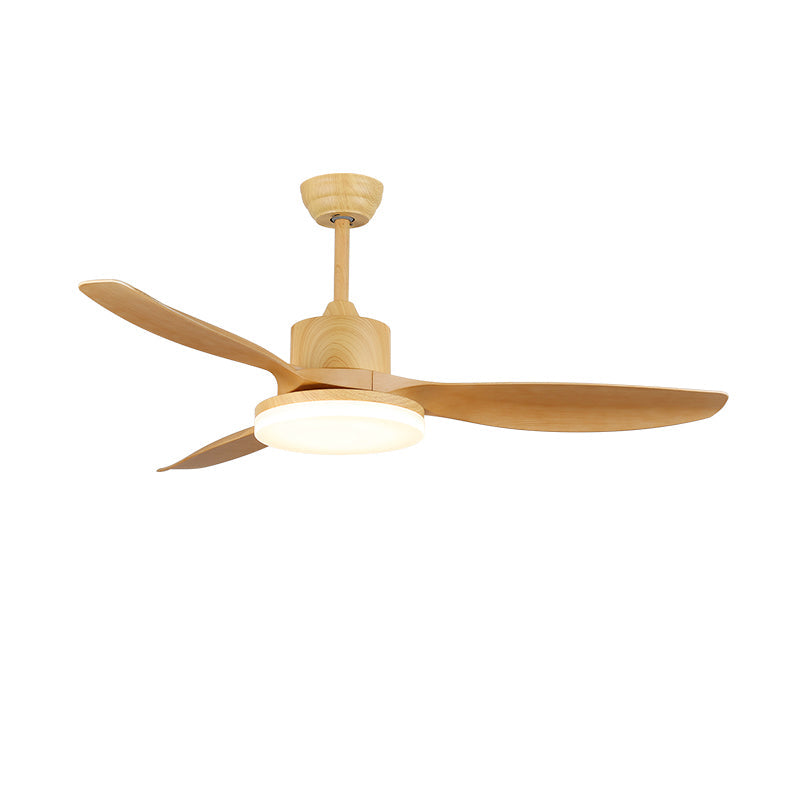 Modern Ceiling Fan Light with Remote Control