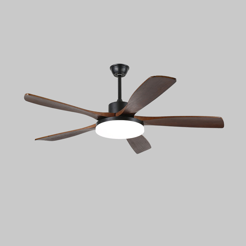 Modern Ceiling Fan Light with Remote Control