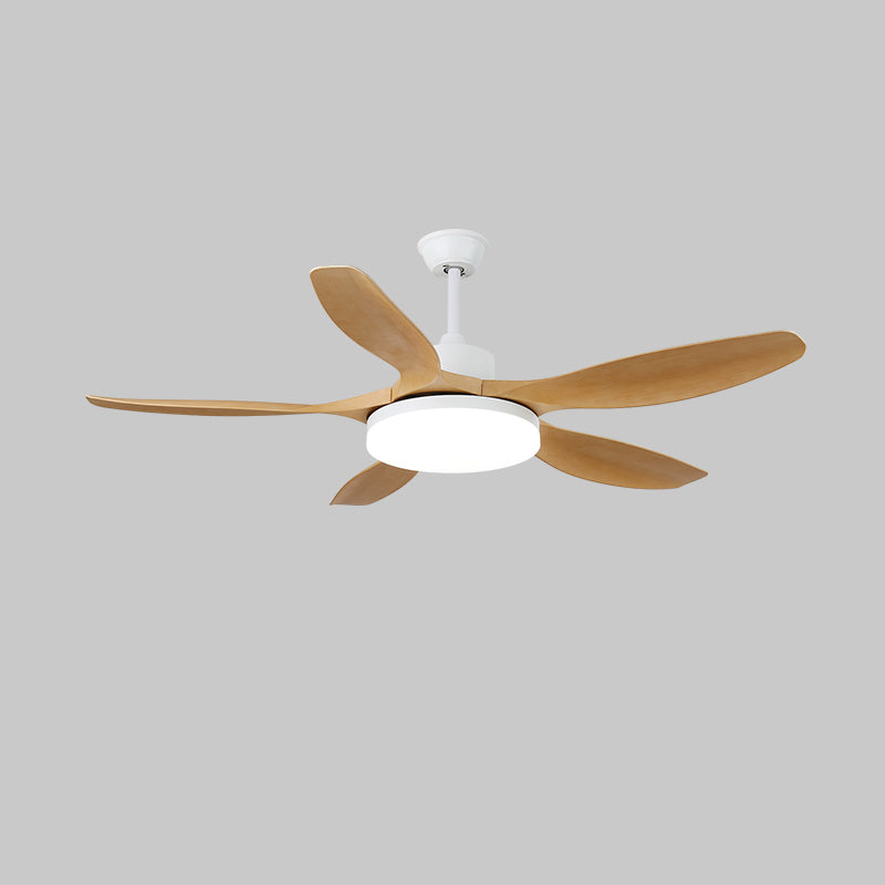 Modern Ceiling Fan Light with Remote Control