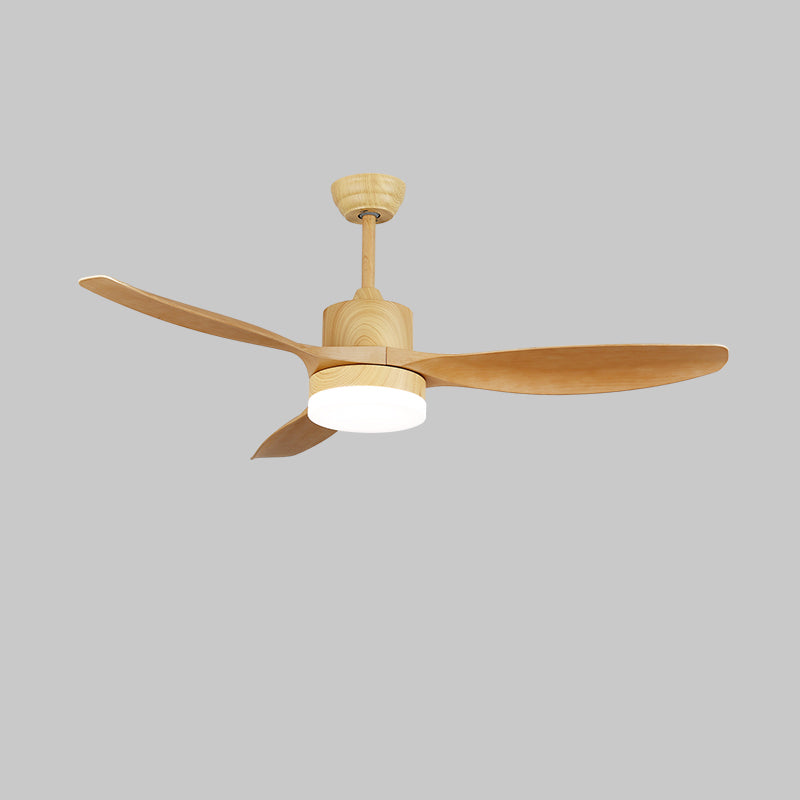 Modern Ceiling Fan Light with Remote Control