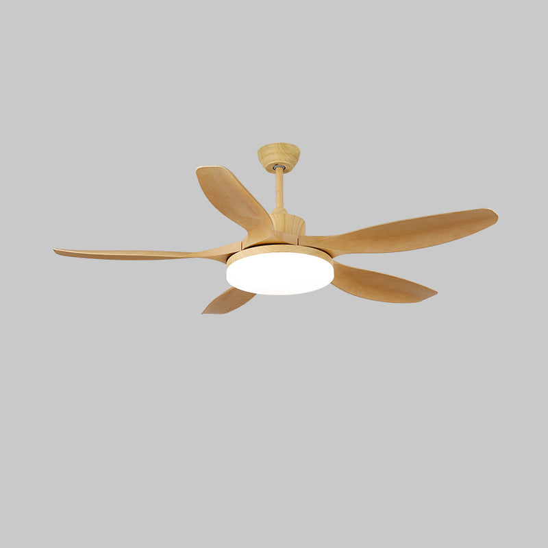 Modern Ceiling Fan Light with Remote Control