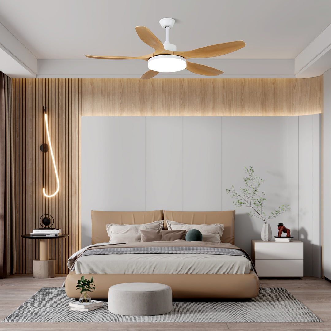 Modern Ceiling Fan Light with Remote Control