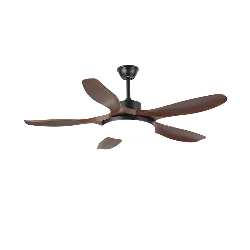 Modern Ceiling Fan Light with Remote Control