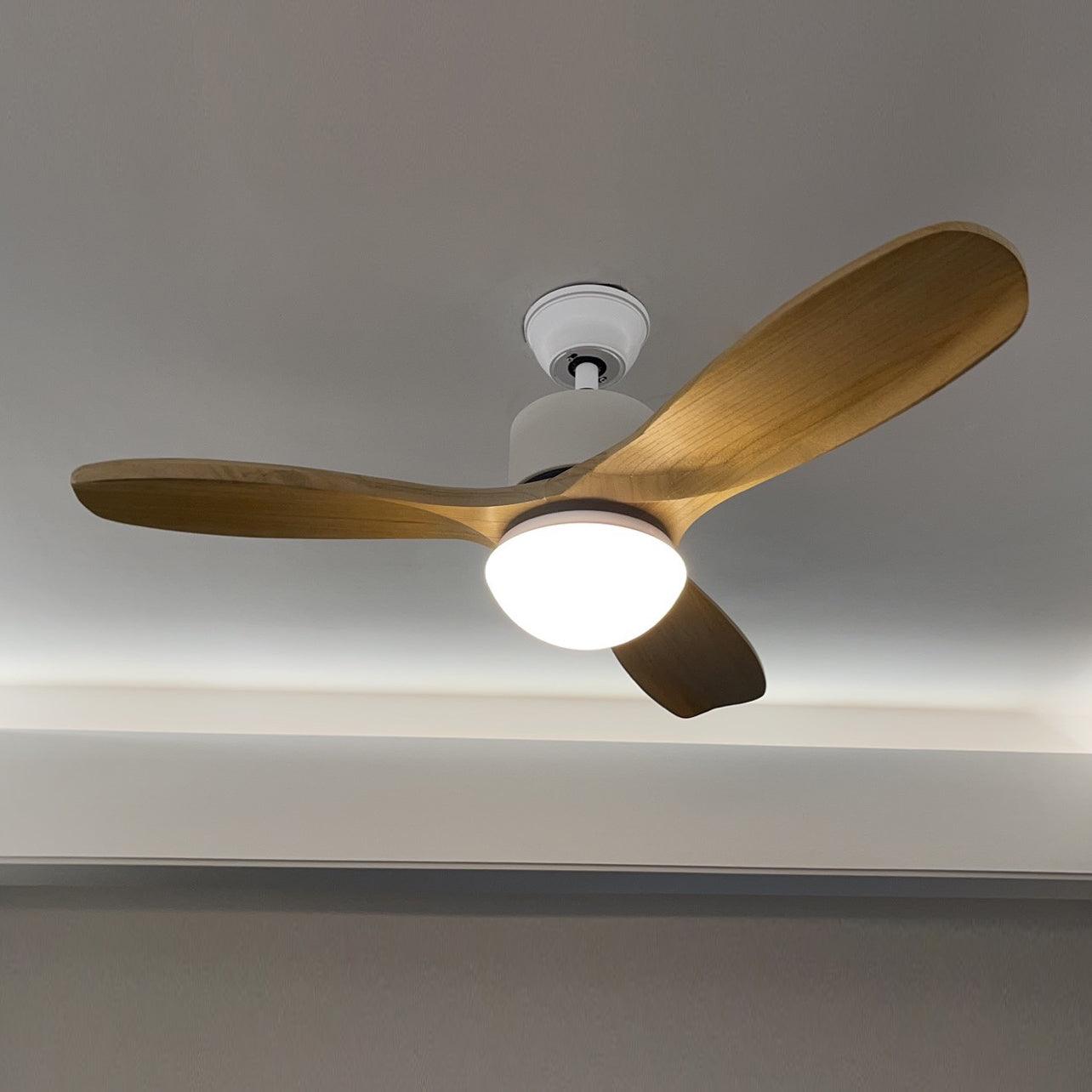 Modern Wooden Blade Ceiling Fan with Light