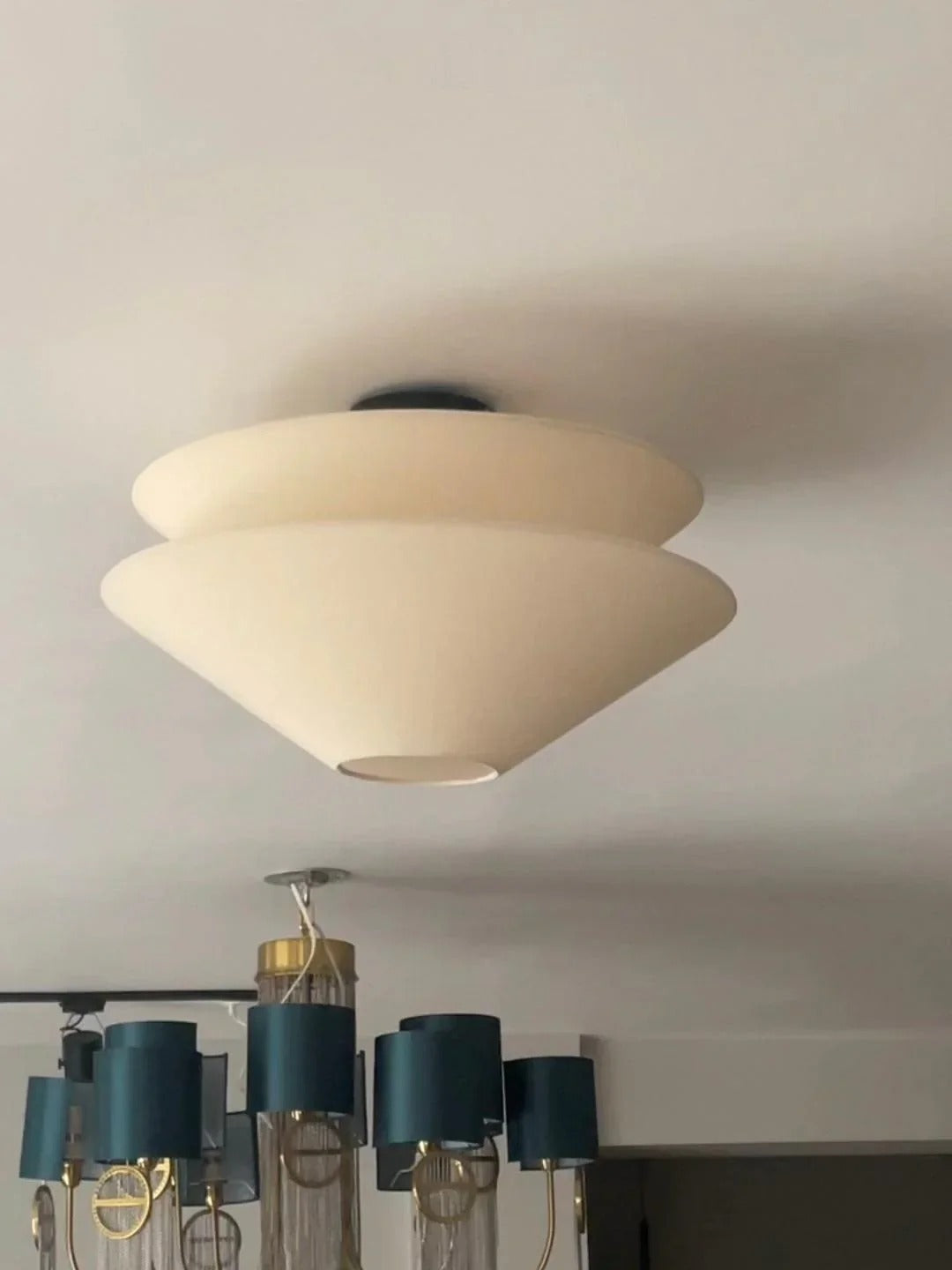 Modern Seagull Ceiling Light Fixture