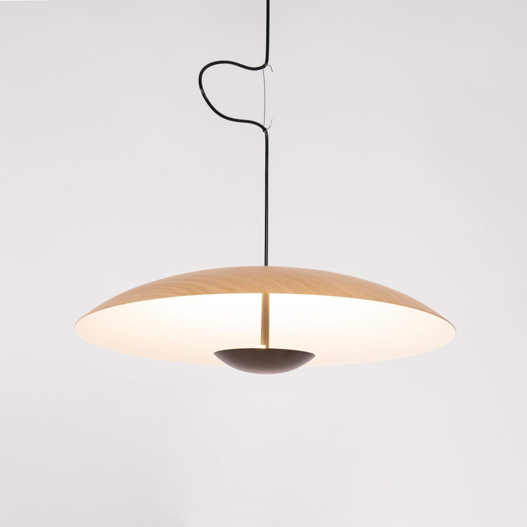 Sleek Pendant Light – Modern Look